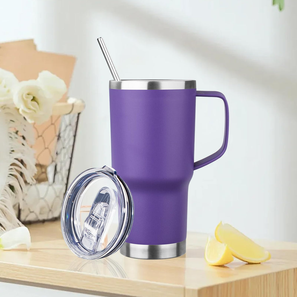 20oz Insulated Stainless Steel Tumbler with Handle and Straw Y7304