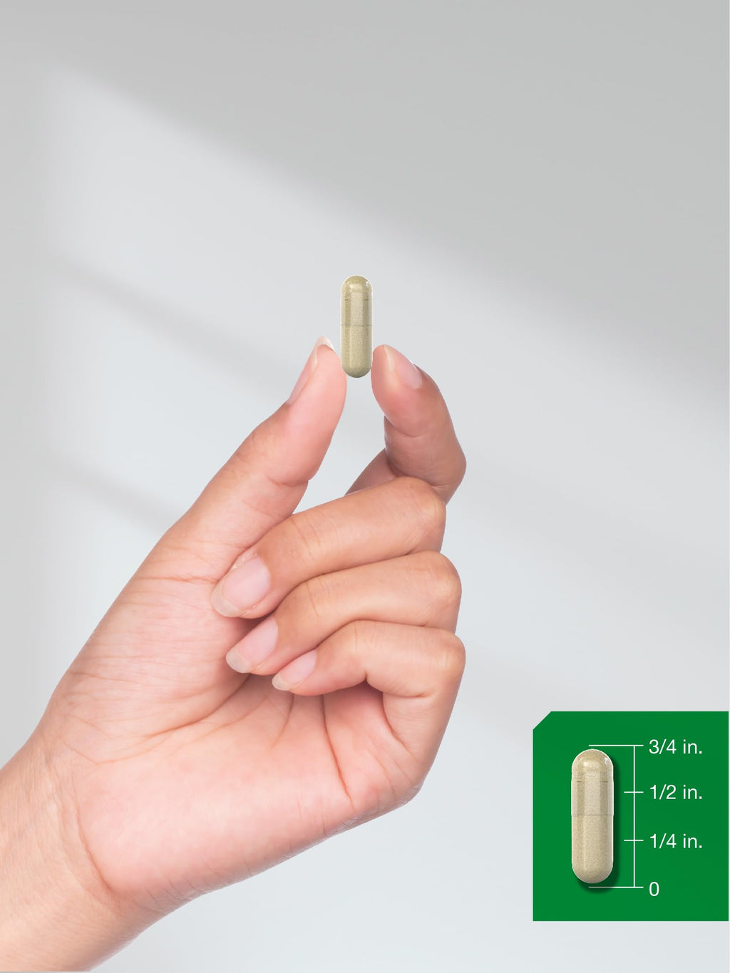 Moringa Oleifera 300 Capsules W188206