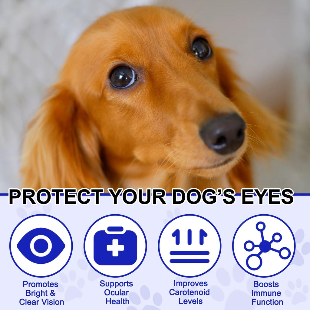 Omega 3 DHA Dog Eye Health Supplements, 180 Count N7732