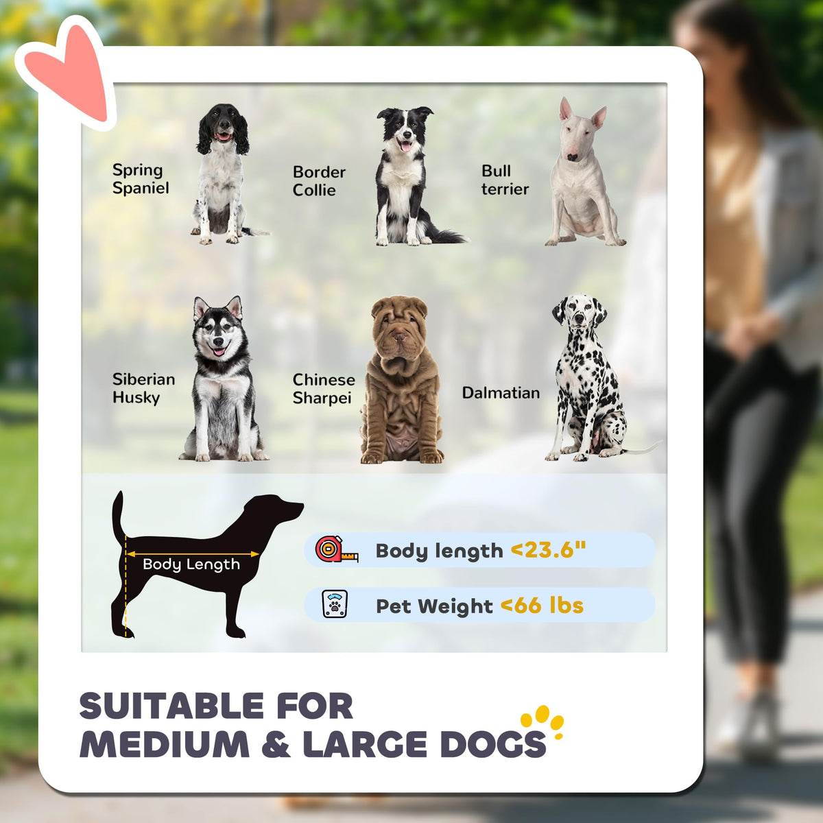 Foldable Dog Stroller with Storage Gray A552934
