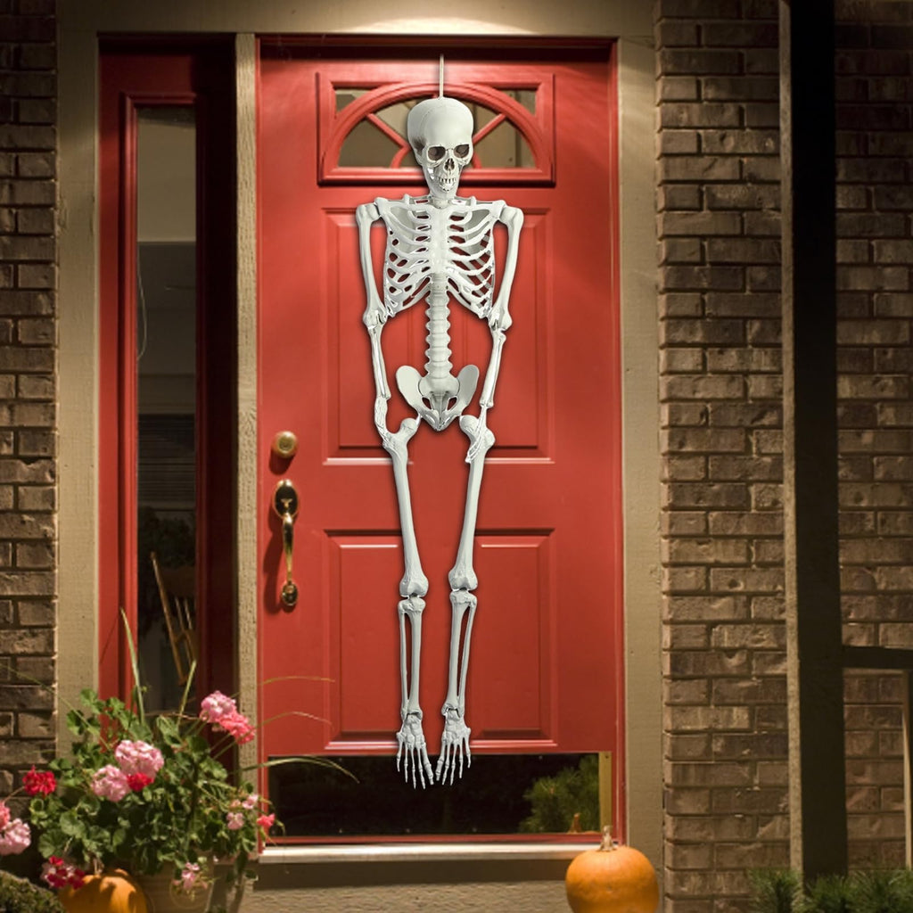 5.4FT Posable Skeleton with Movable Joints V163