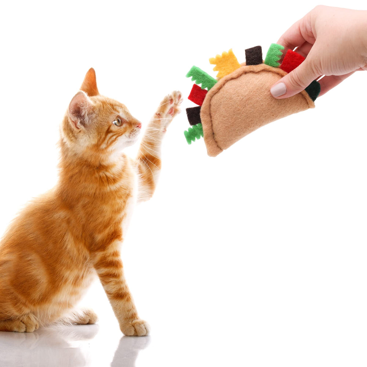 Felt Catnip Cat Toys 2 Pcs Y13825