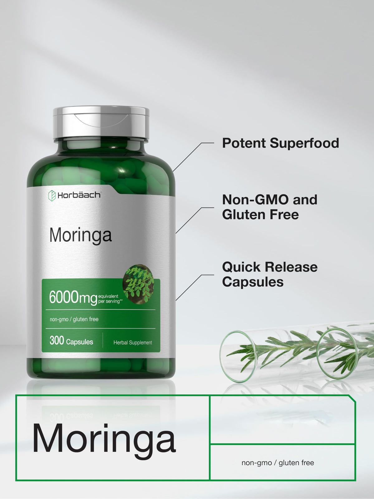 Moringa Oleifera 300 Capsules W188206