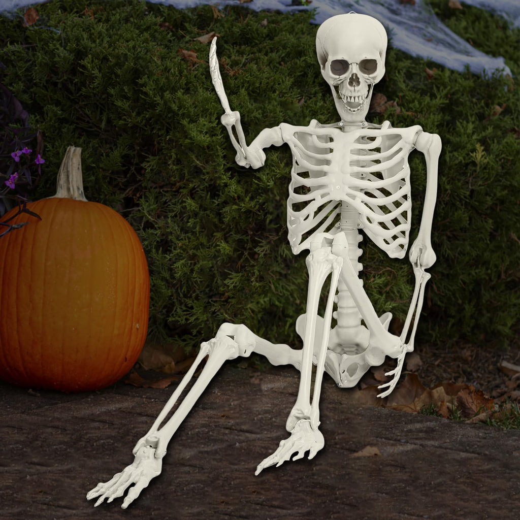 5.4FT Posable Skeleton with Movable Joints V163