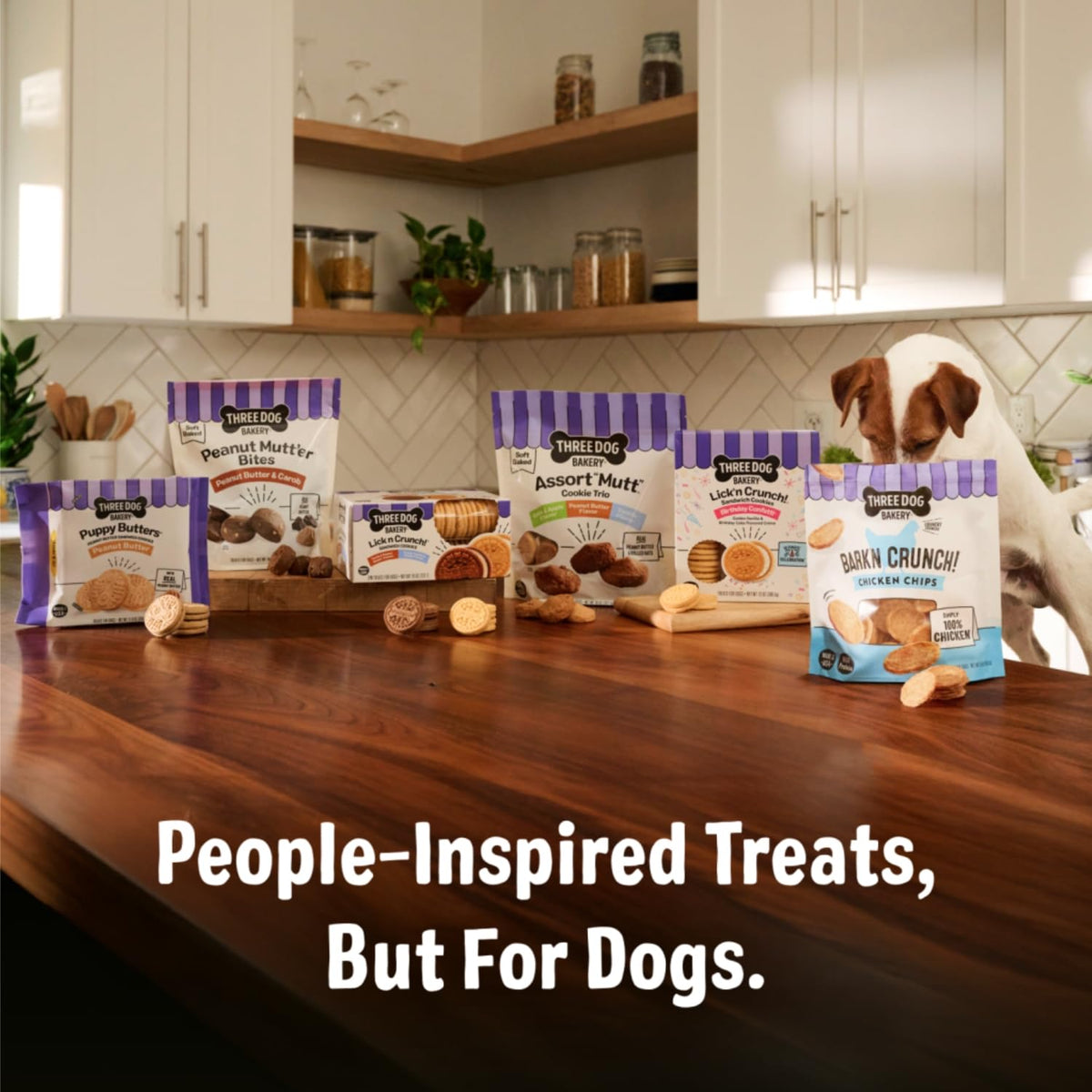 12 oz Dog Cake Bites Z3079