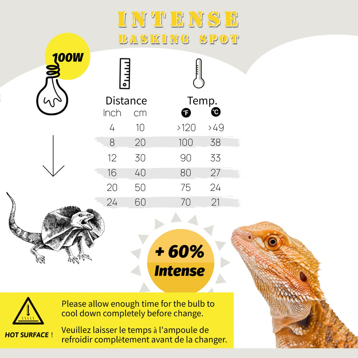 Reptile Light Fixture and Heat Lamp Bulb X7465