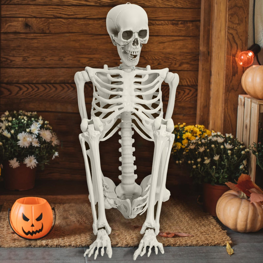 5.4FT Posable Skeleton with Movable Joints V163