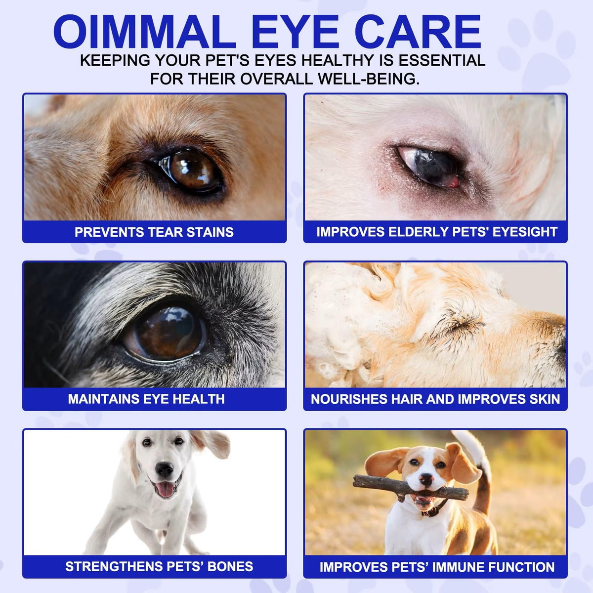 Omega 3 DHA Dog Eye Health Supplements, 180 Count N7732