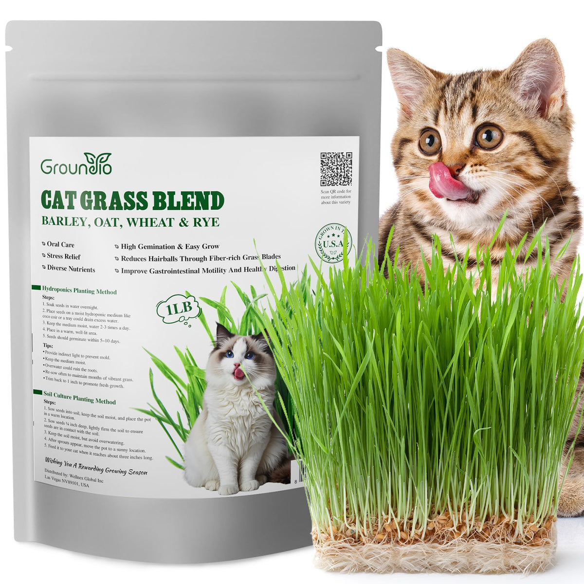 Cat Grass Seeds Bulk 1LB Non-GMO Heirloom Barley Oats Wheat Rye E397317