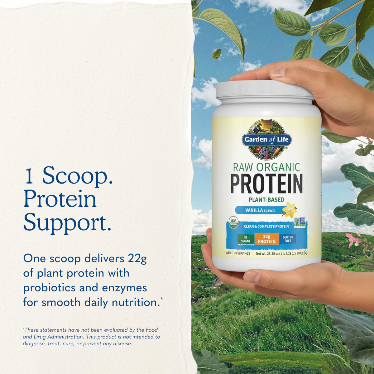Organic Vegan Vanilla Protein Powder O948091