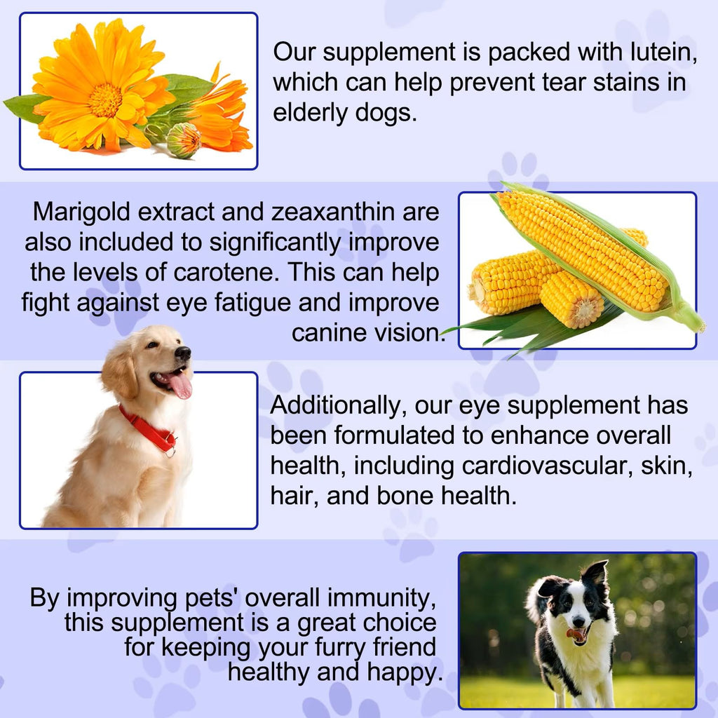 Omega 3 DHA Dog Eye Health Supplements, 180 Count N7732