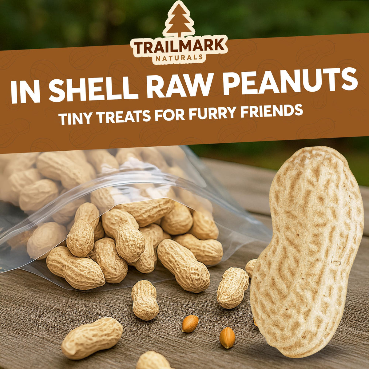 Raw In Shell Peanuts H128