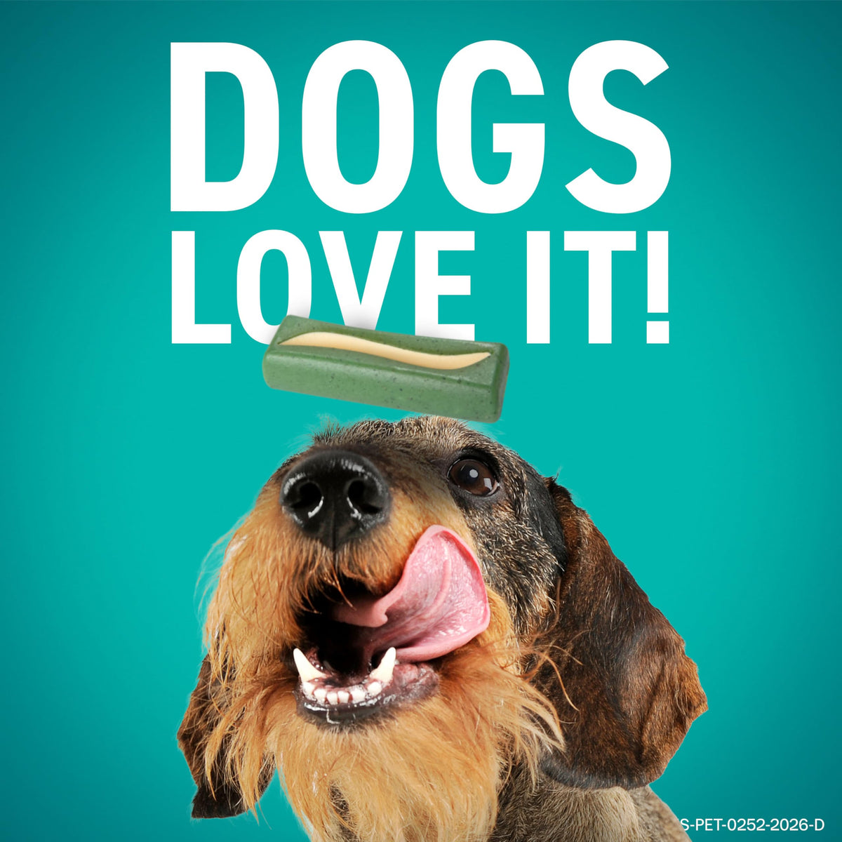 Dental Hygiene Chews for Dogs K354380