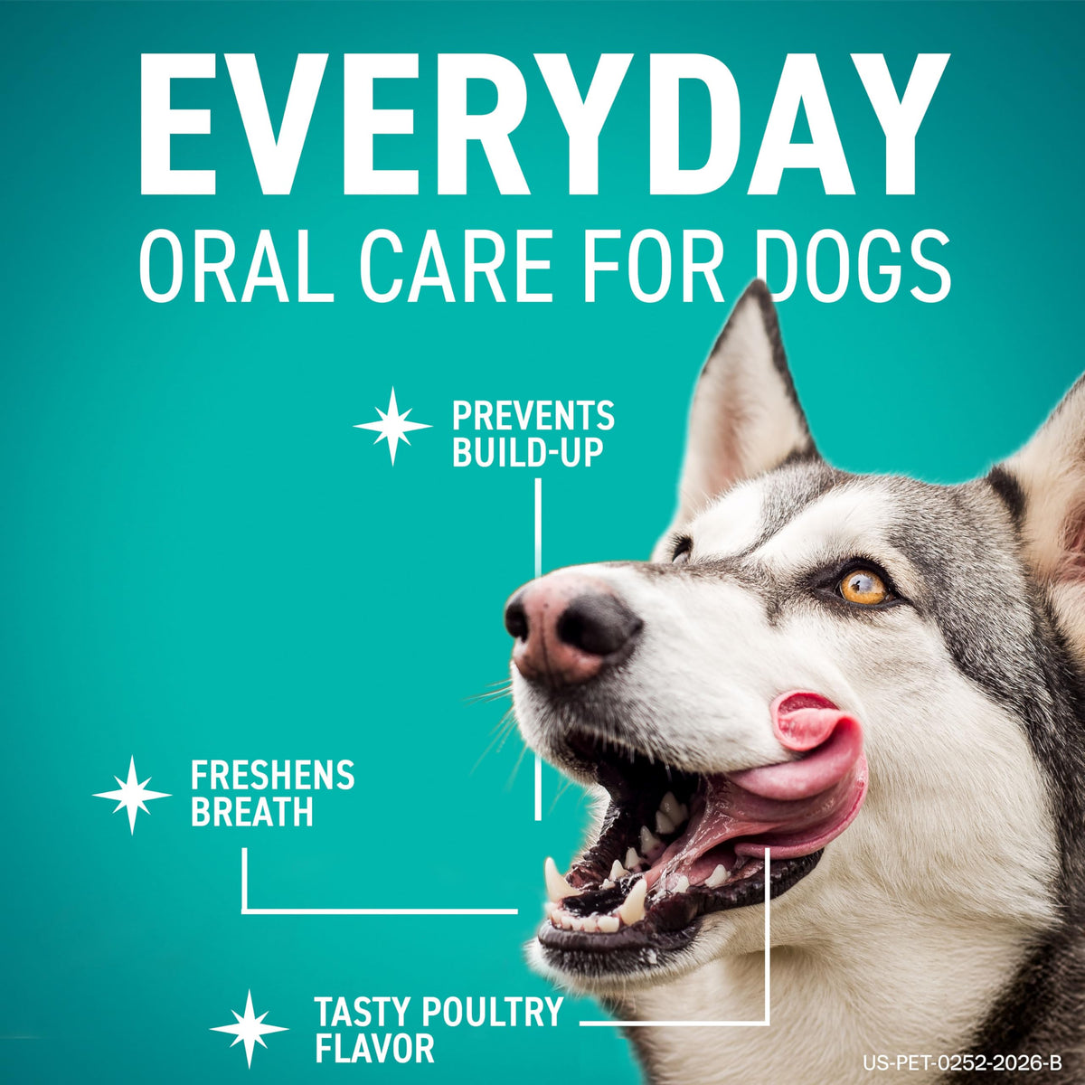 Dental Hygiene Chews for Dogs K354380