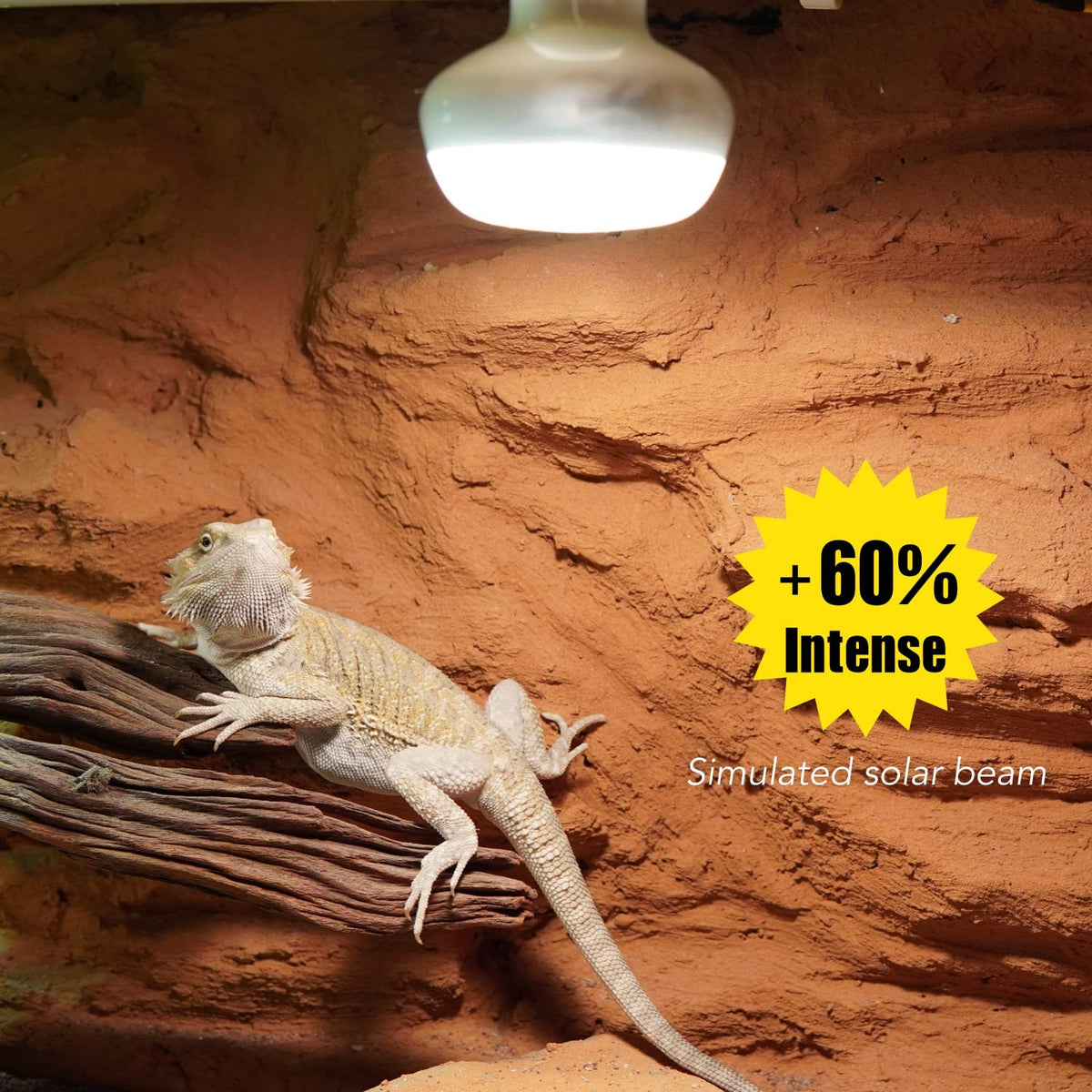 Reptile Light Fixture and Heat Lamp Bulb X7465