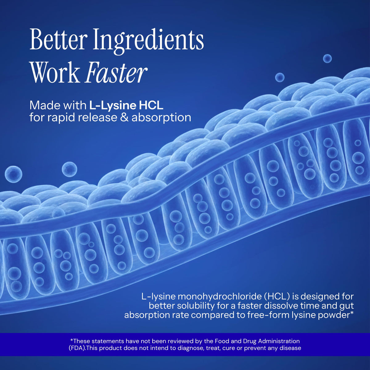 L-Lysine & Propolis with Quercetin, Vitamin C, Vitamin E & Zinc S81556