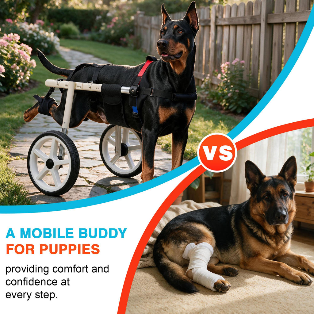 Adjustable Large Dog Wheelchair C25951