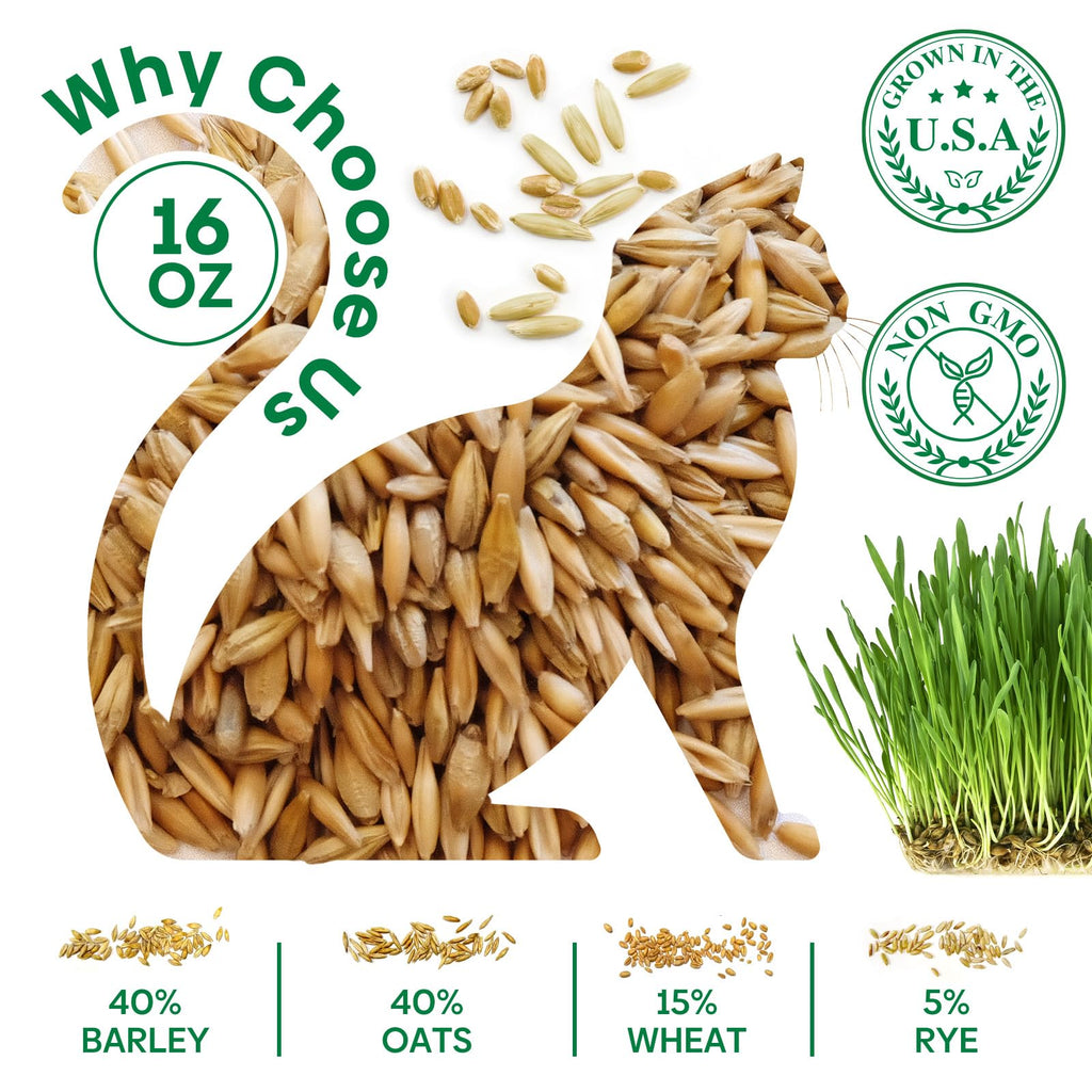 Cat Grass Seeds Bulk 1LB Non-GMO Heirloom Barley Oats Wheat Rye E397317