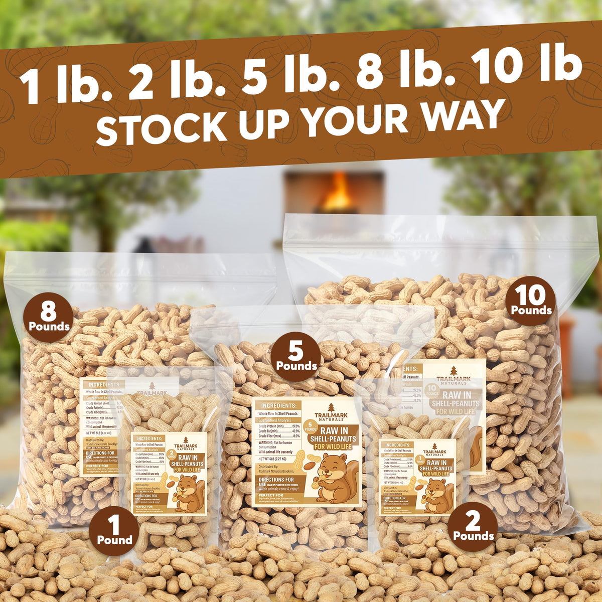 Raw In Shell Peanuts H128