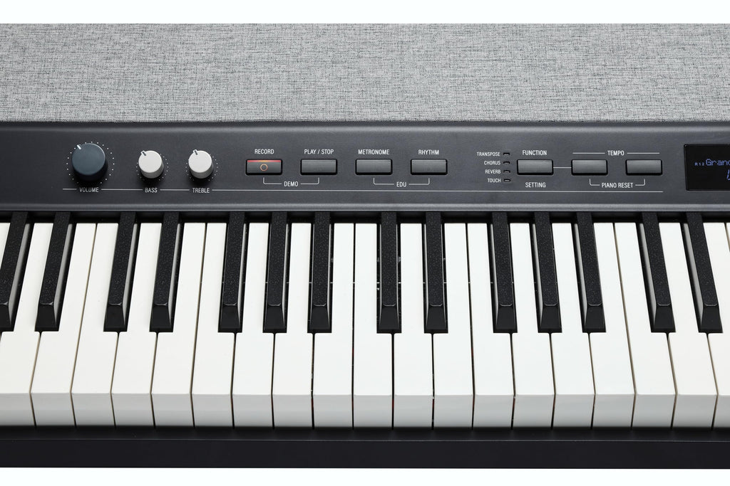 88-Key Fully-Weighted Hammer Action Portable Digital Piano I4308